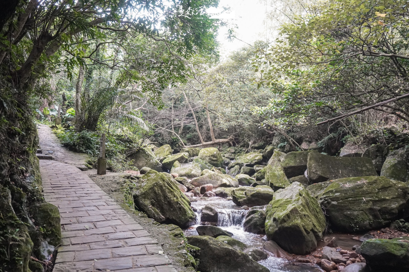 台北五星級步道｜圓覺瀑布步道