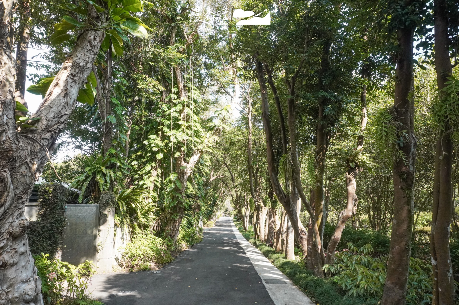 台北賞花景點推薦｜陽明山花卉試驗中心