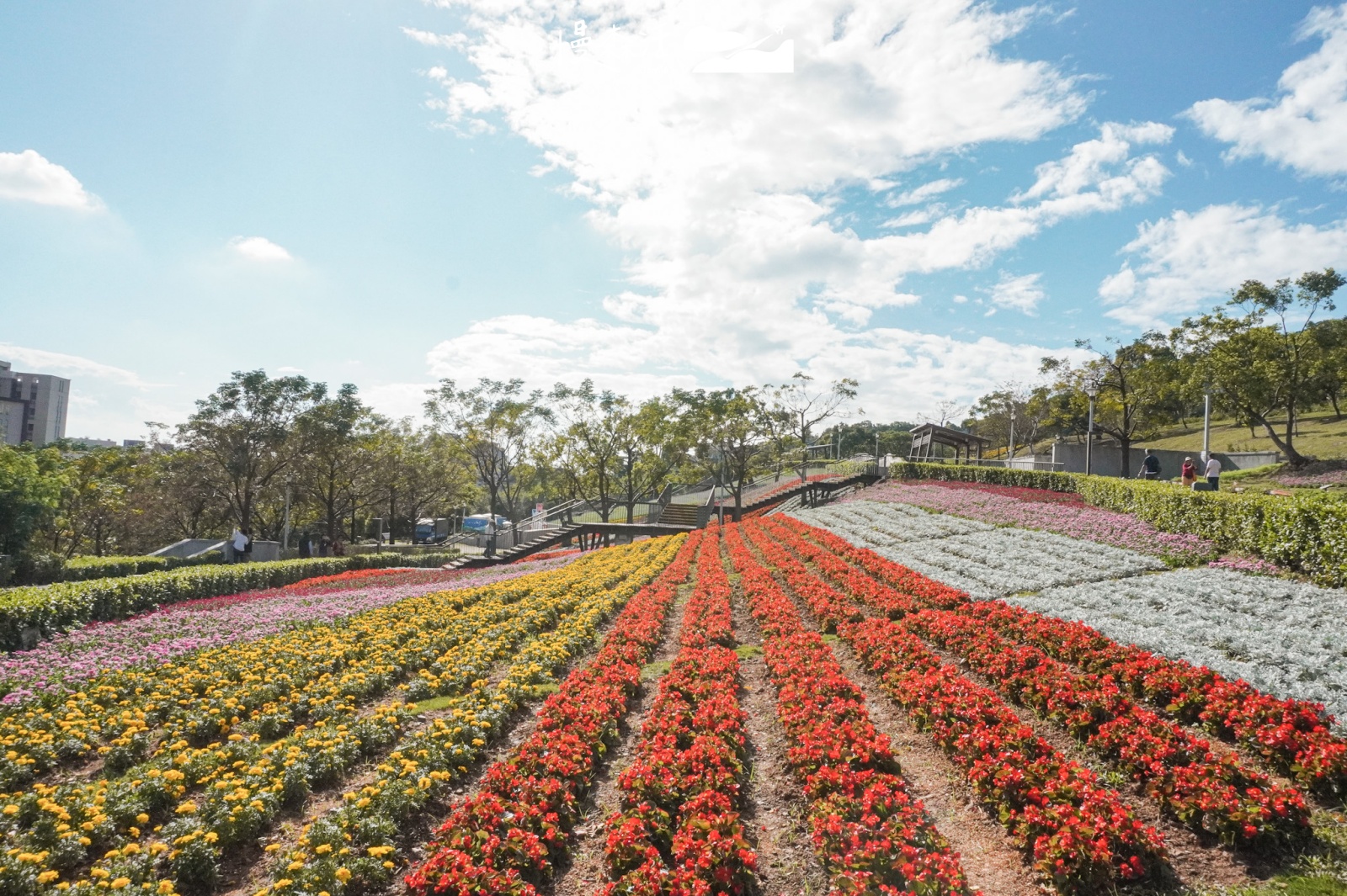 台北賞花景點推薦｜北投三層崎公園