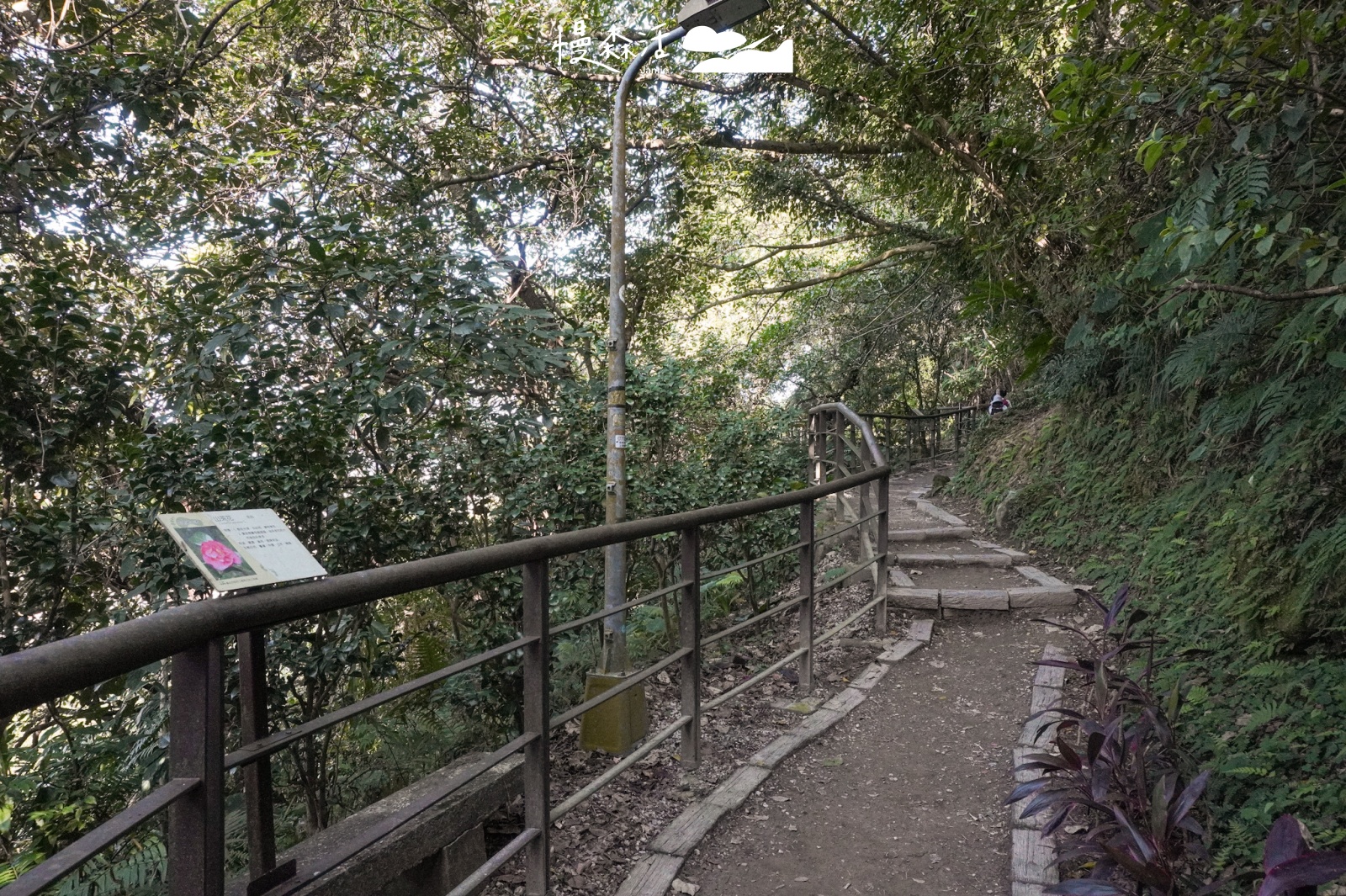 台北市文山區 景美仙跡岩親山步道 A路線