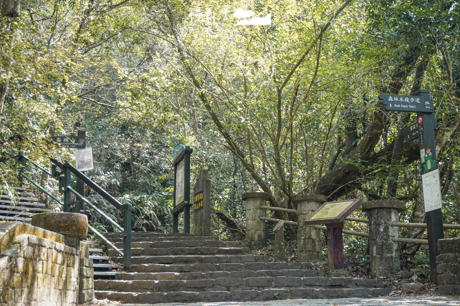 綠意空間森呼吸！台北近郊8個適合親子健行活動步道