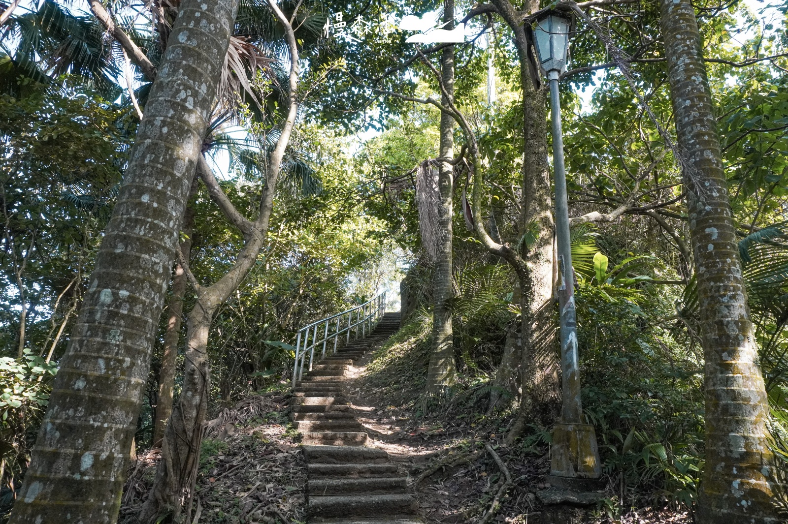 台北五星級步道｜小南港山步道