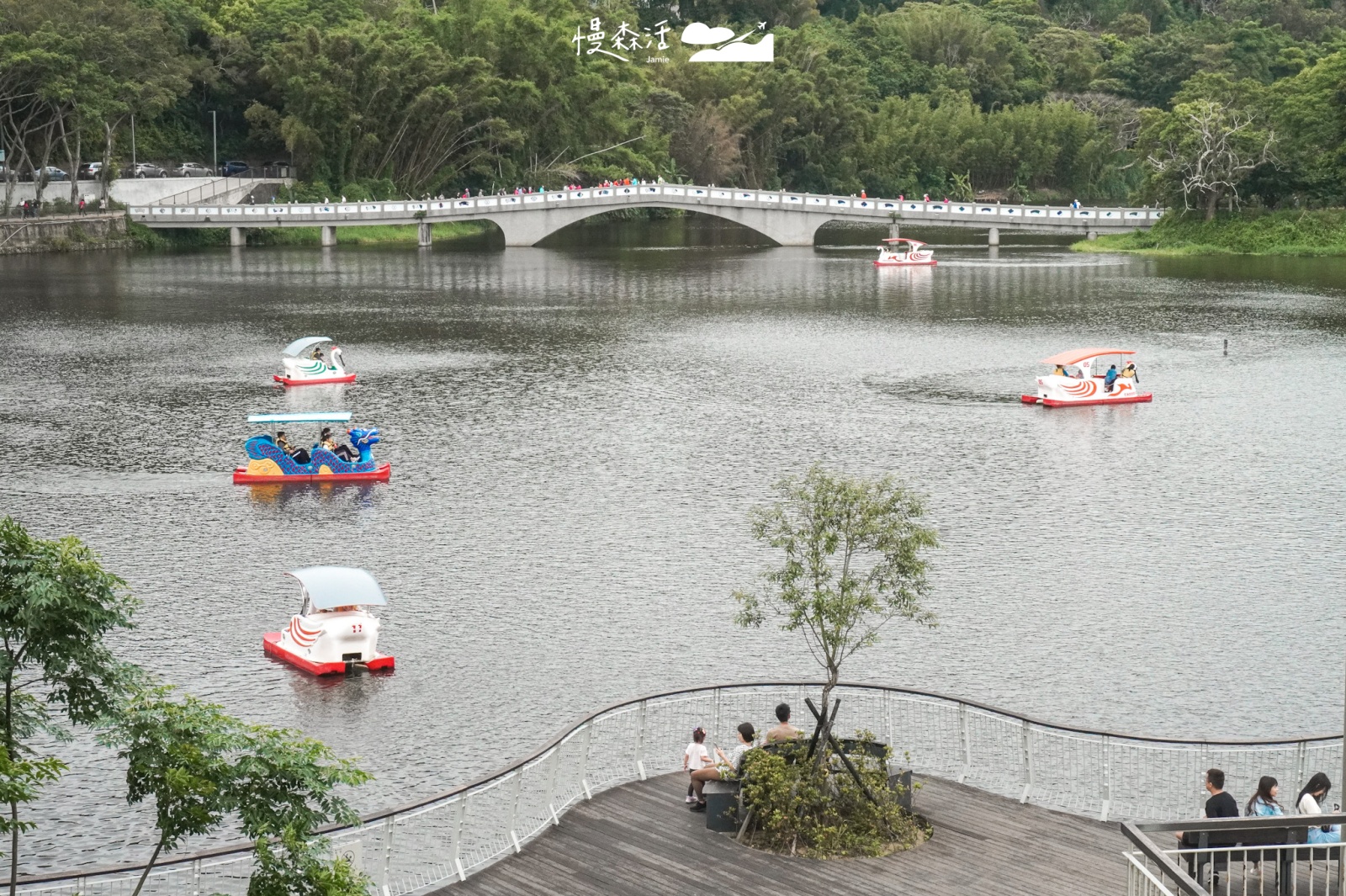 新竹優惠活動！青草湖體驗天鵝船折扣100元至6月底