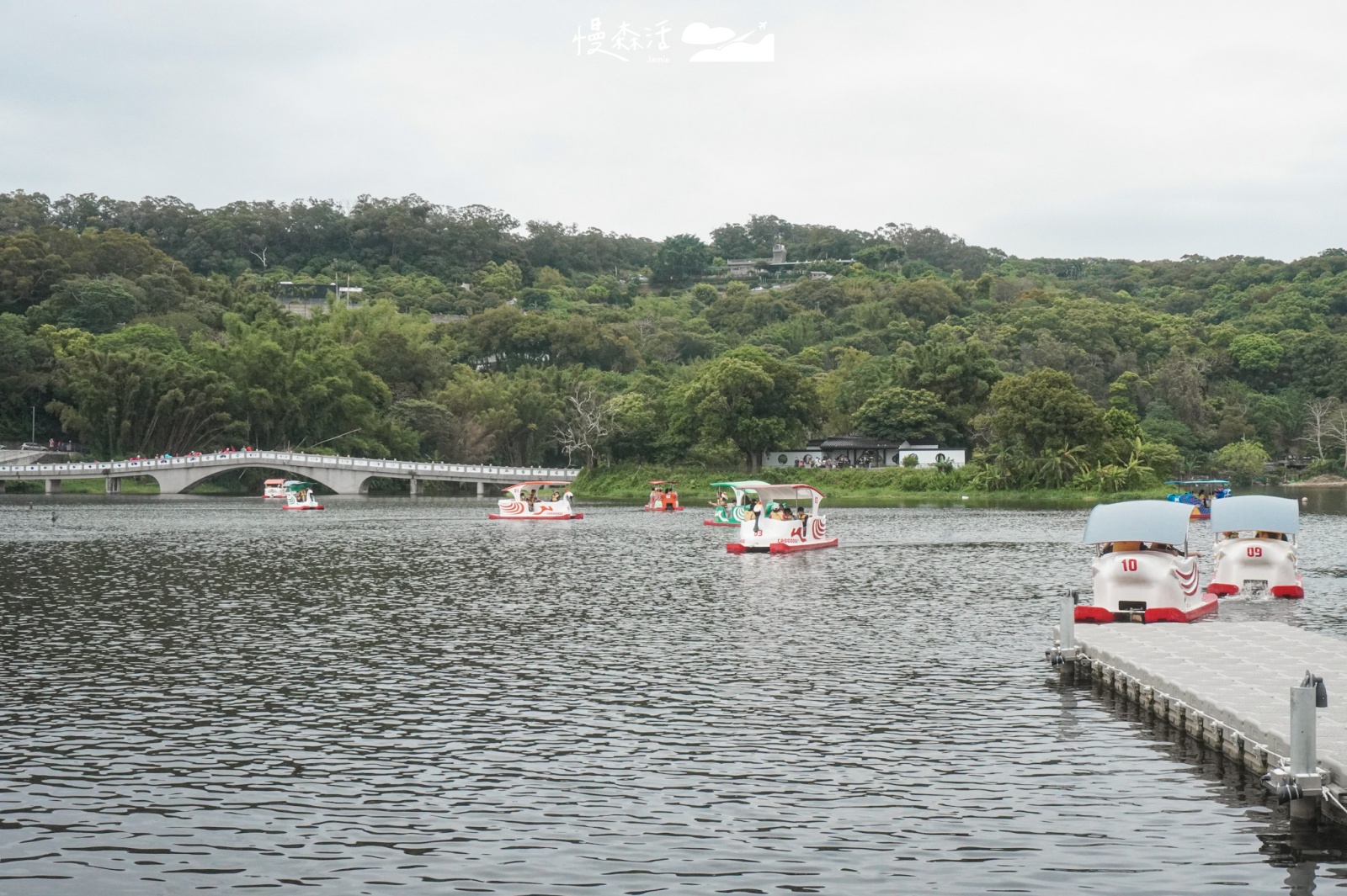 新竹市青草湖 乘坐天鵝船
