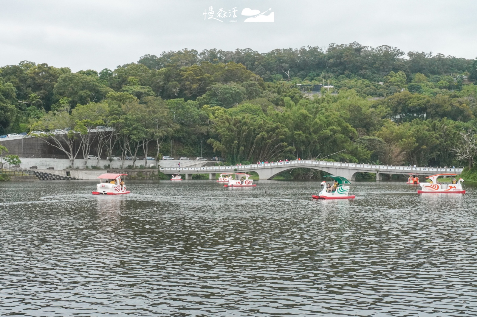 新竹市青草湖 乘坐天鵝船
