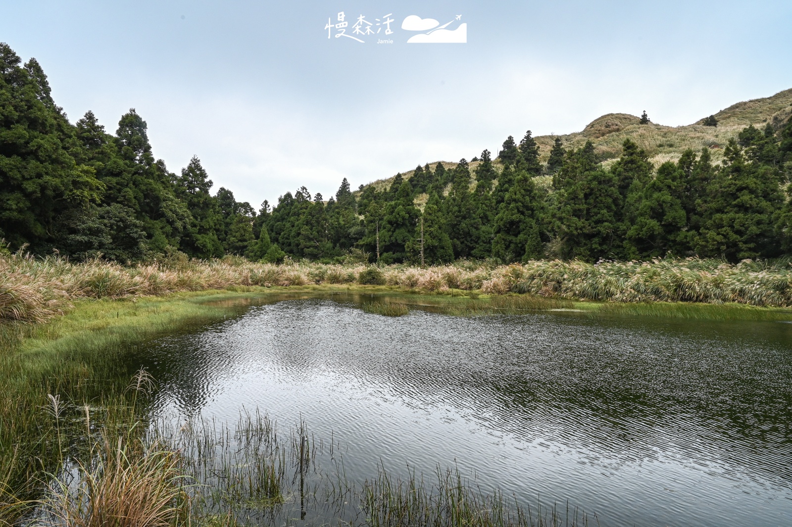 台北五星級步道｜陽明山夢幻湖步道