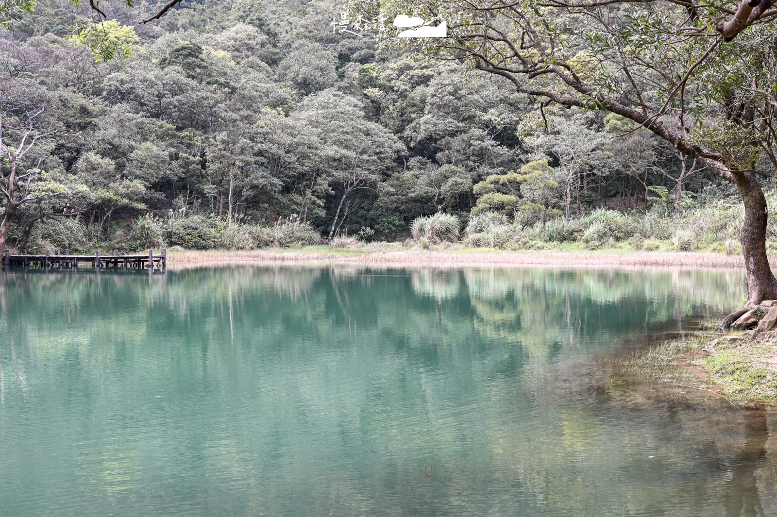 新北市避暑景點｜新山夢湖