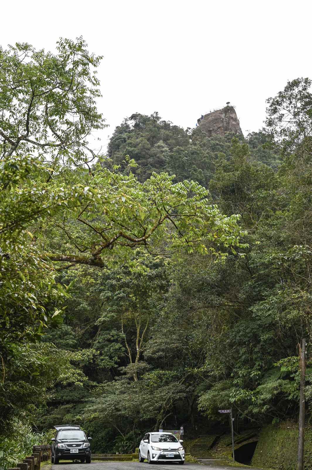 新北市避暑景點｜平溪孝子山