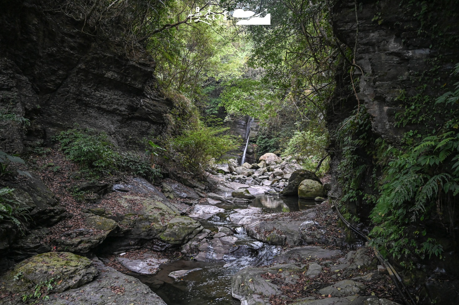 自然系避暑去桃園 復興區小烏來風景特定區