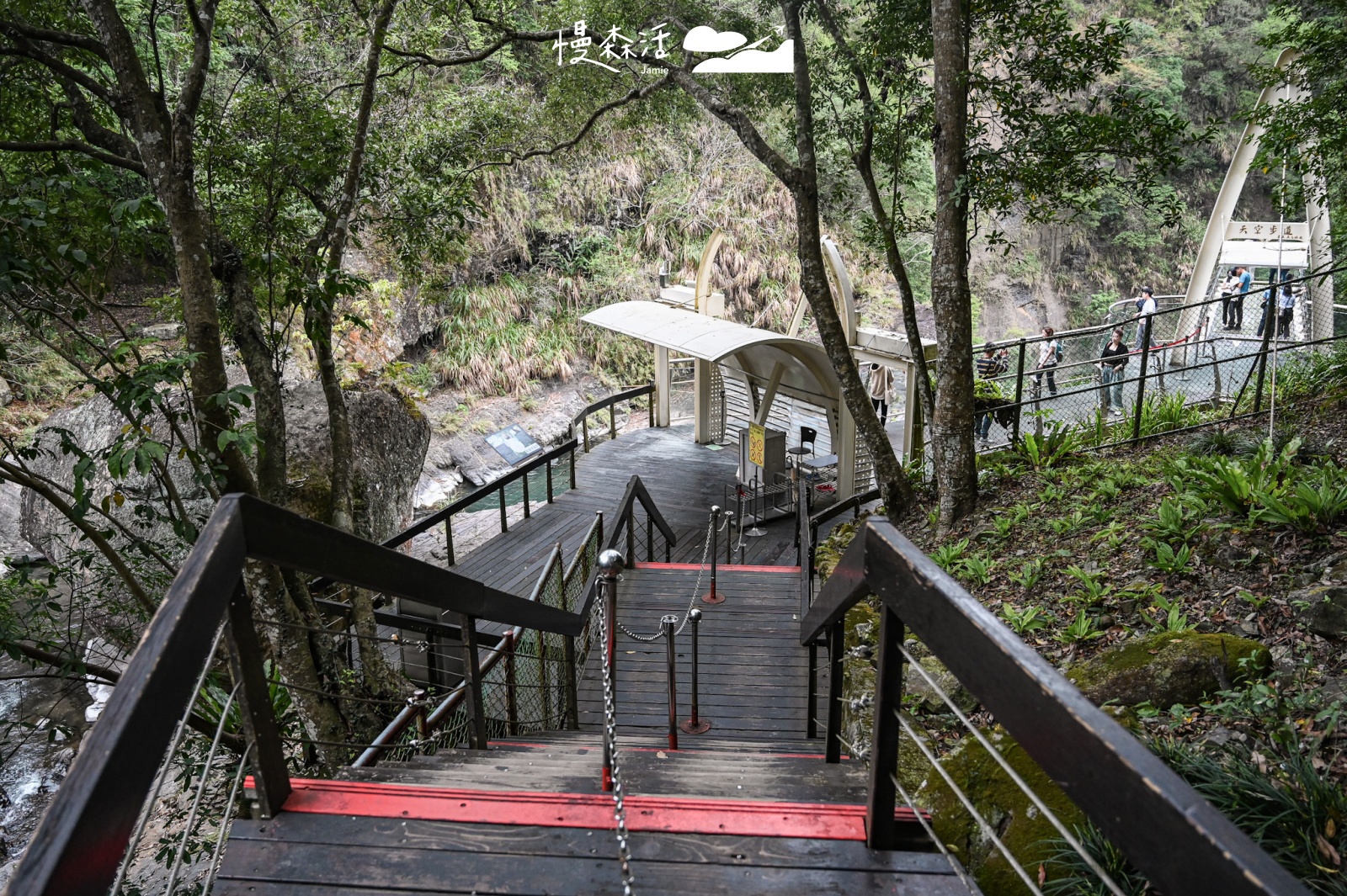 自然系避暑去桃園 復興區小烏來風景特定區