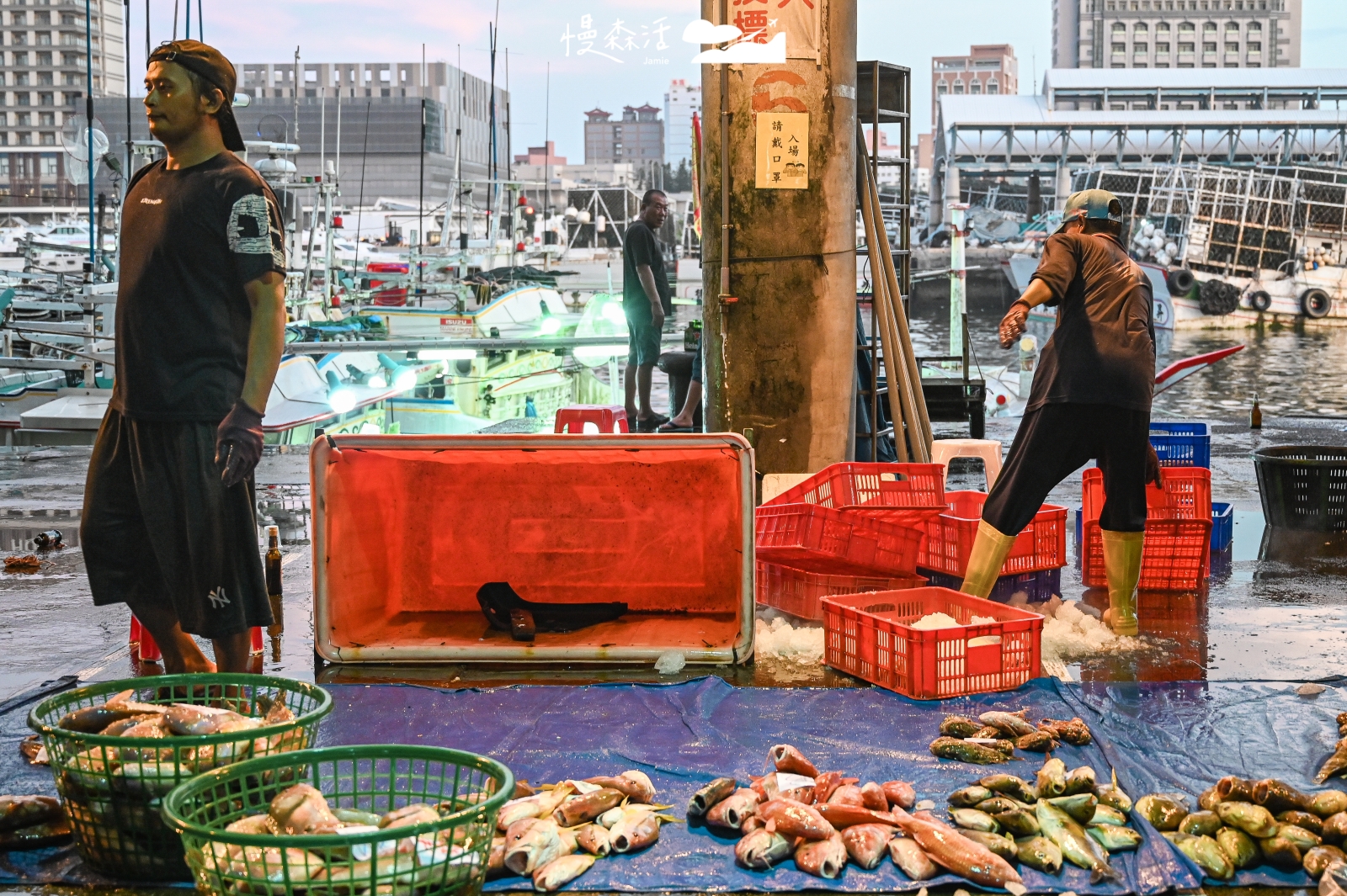 澎湖馬公市 澎湖魚市第三漁港