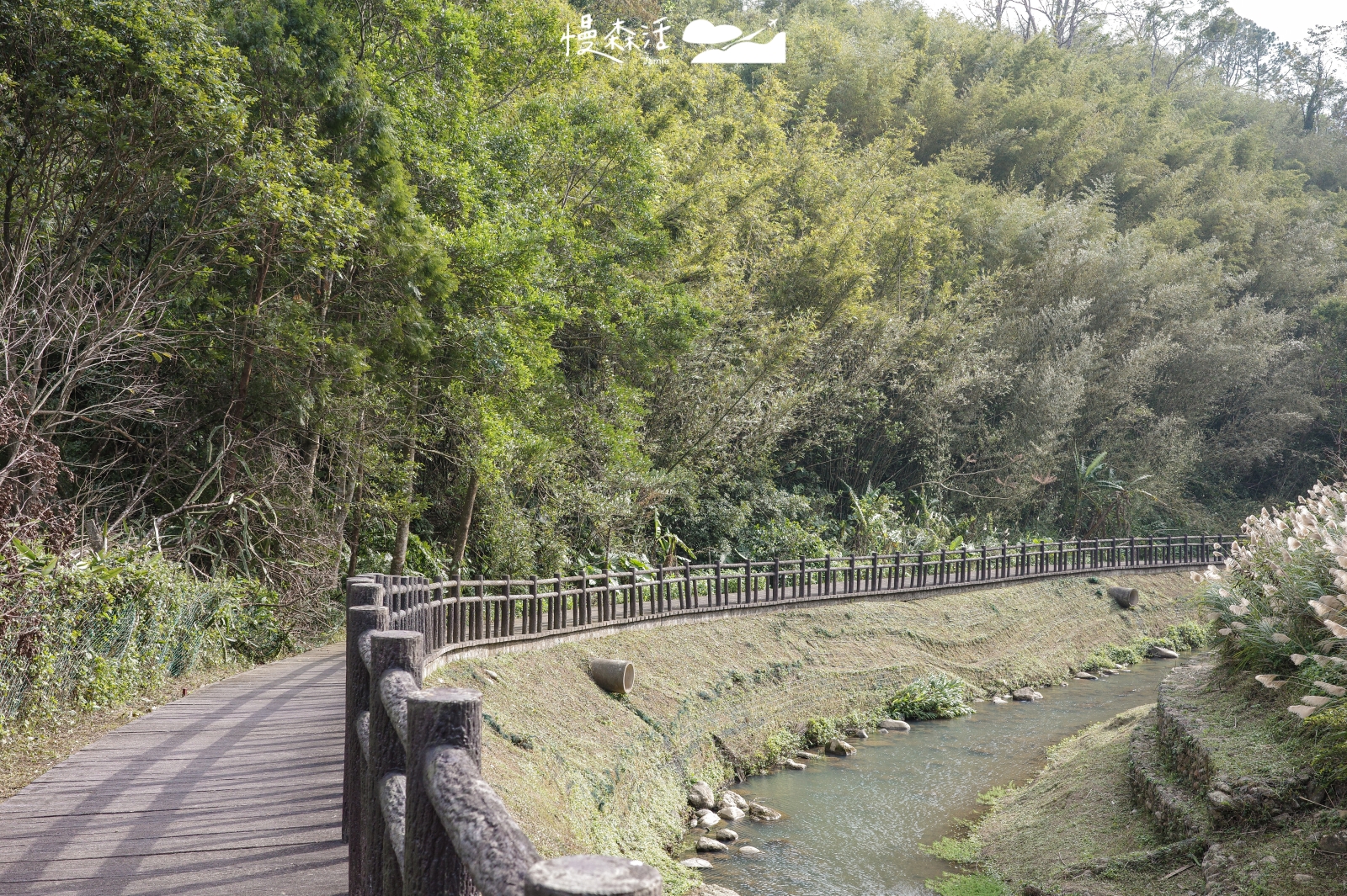 自然系避暑去桃園 大溪舊百吉隧道