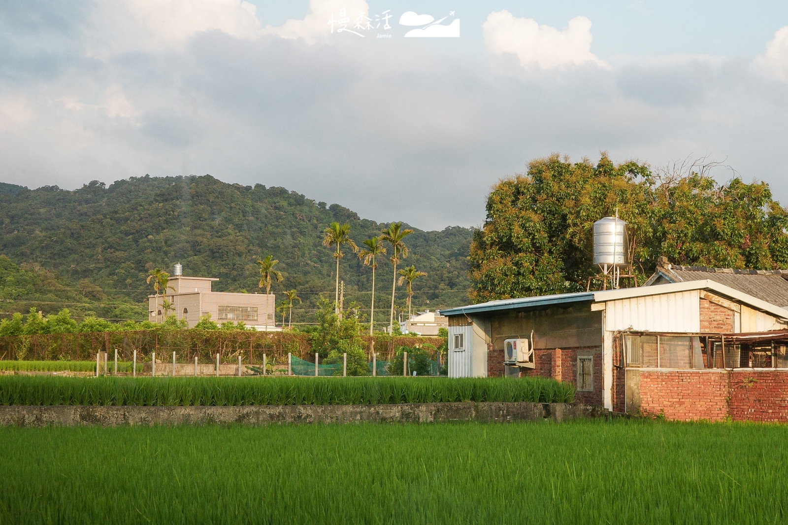 苗栗公館鄉 食茶屋周邊田園景色
