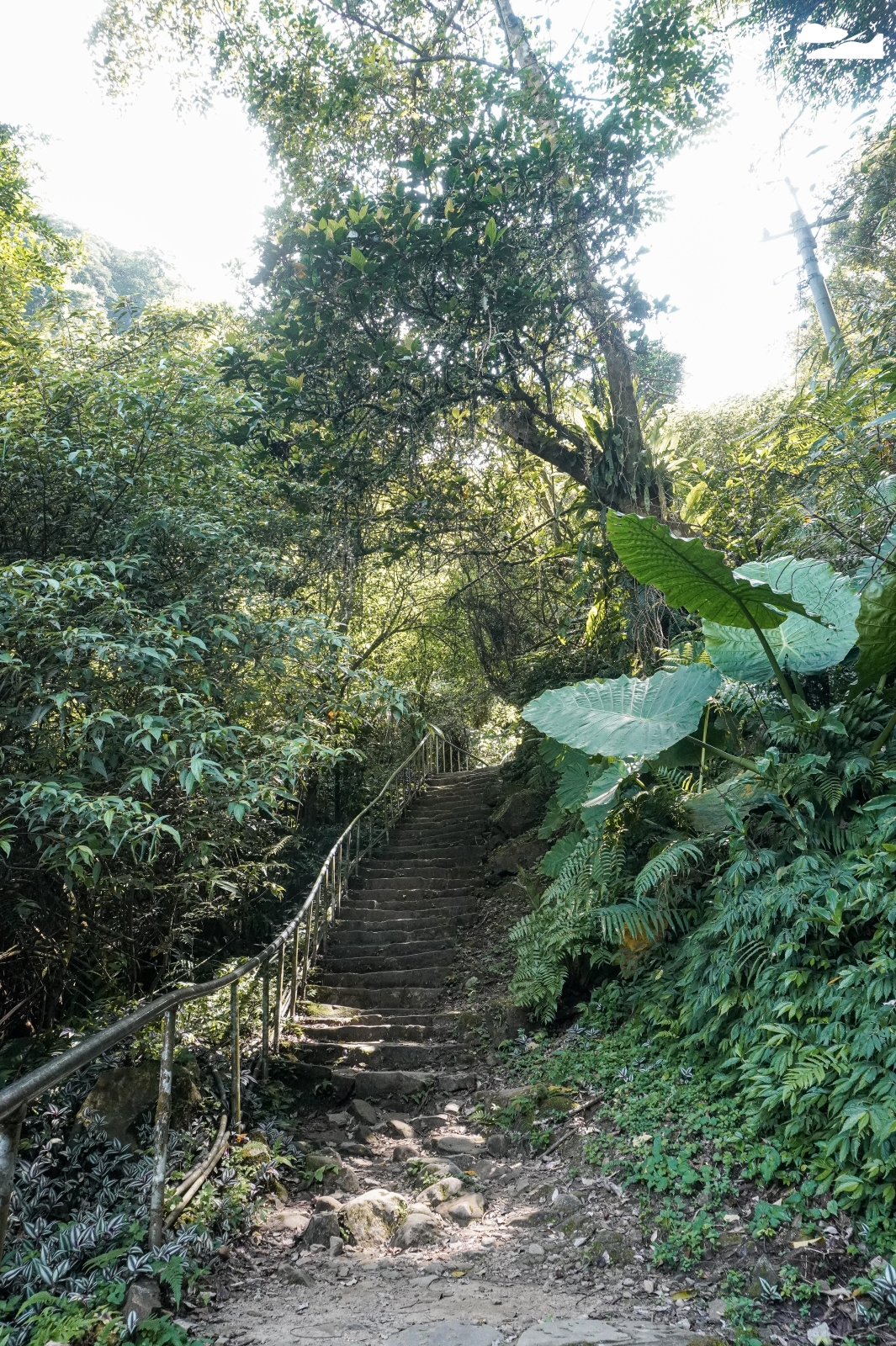新北市新店區 銀河洞越嶺步道