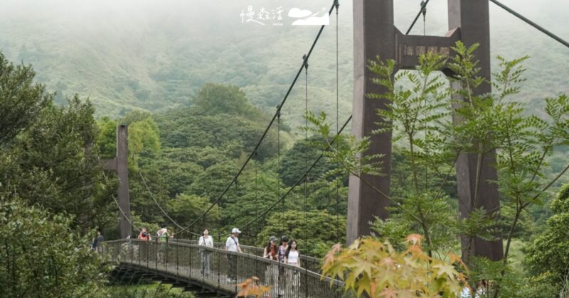 七夕浪漫慢遊！搭公車到台北7個自然景點甜蜜散步