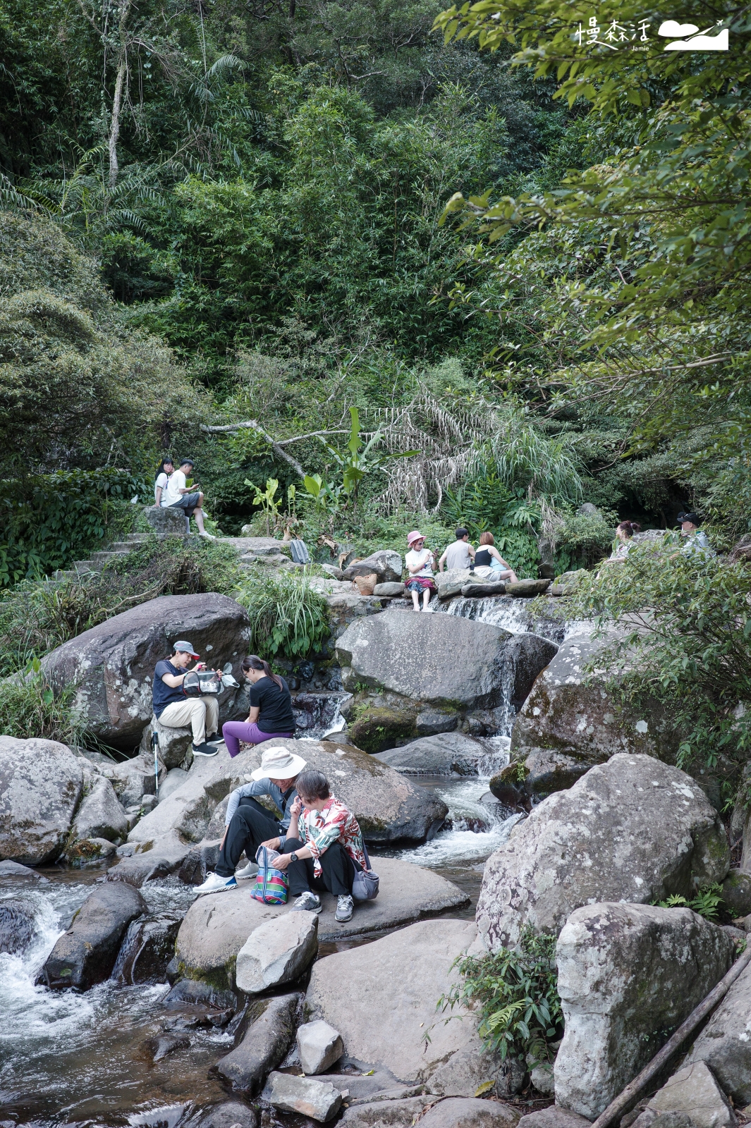 台北搭公車浪漫散步|草山觀瀑吊橋