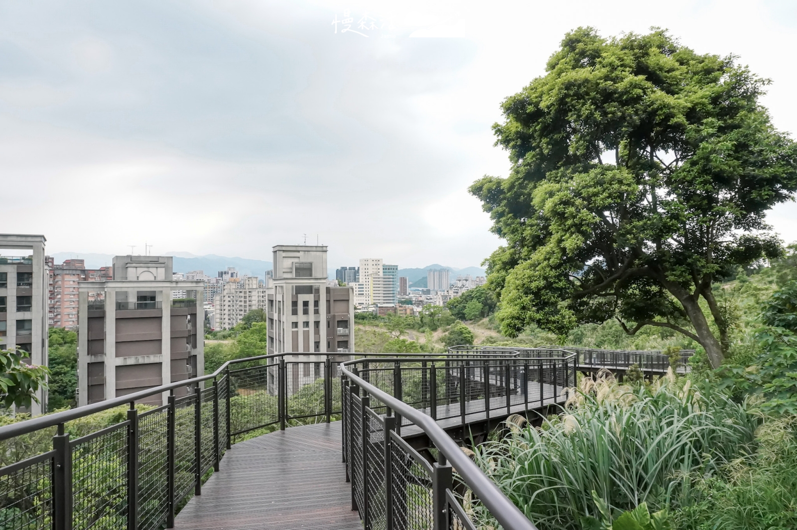 雙北動靜皆宜據點｜文山森林公園
