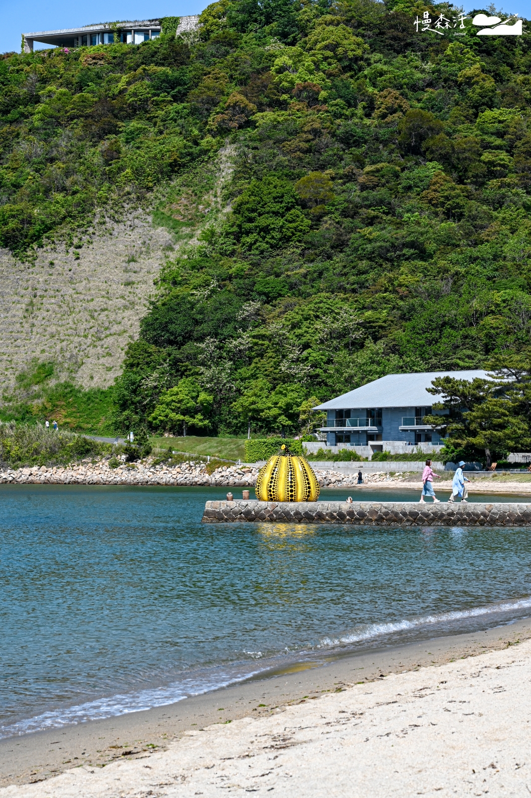 瀨戶內國際藝術祭2025 日本直島黃かぼちゃ作品