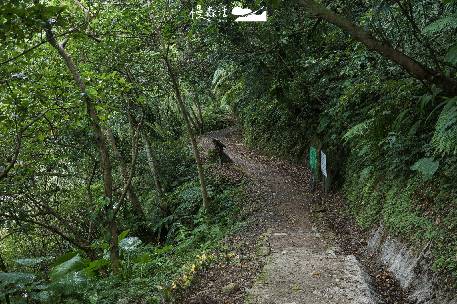 新北市石碇區 淡蘭古道石碇外按古道 第二段