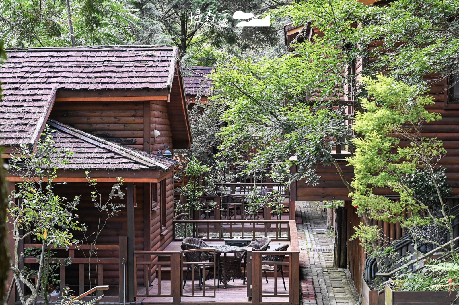 台中和平區住宿|八仙山莊