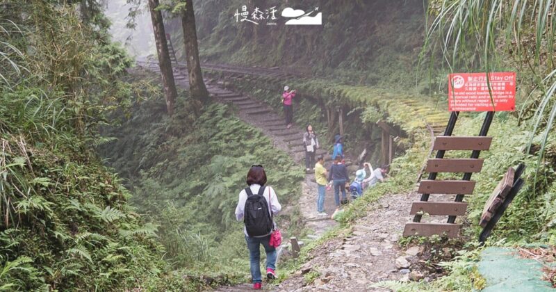雙十國慶連假！12處國家森林遊樂區半票優惠