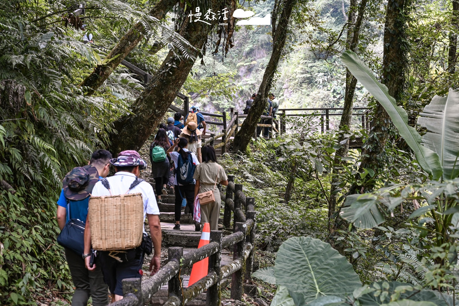 新北市烏來區|內洞國家森林遊樂區