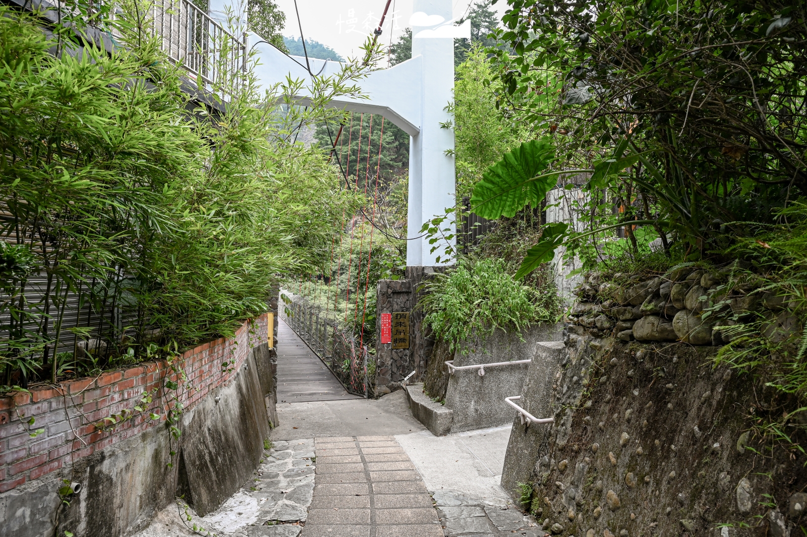 台中市和平區 捎來吊橋口