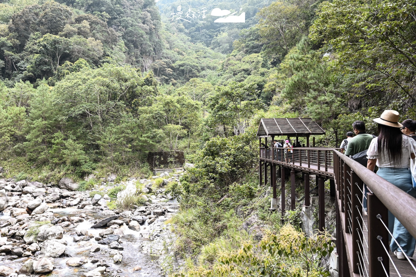 台中市和平區|八仙山國家森林遊樂區