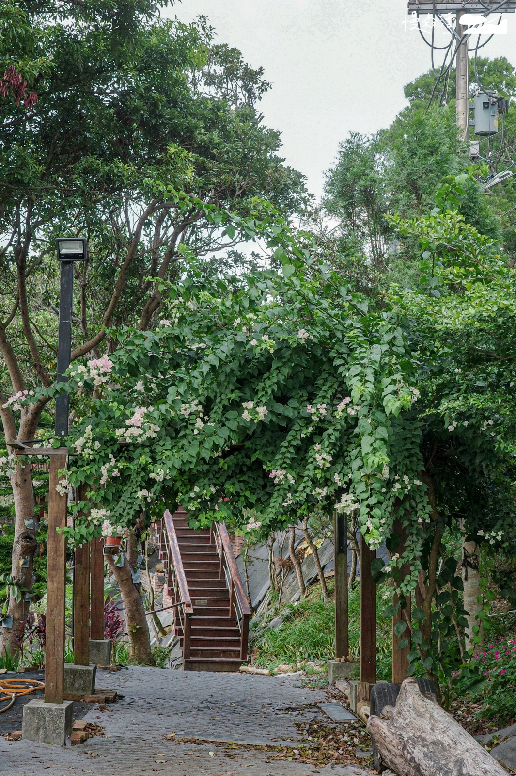 桃園市龜山區 霖咖啡lincafe’ 花園
