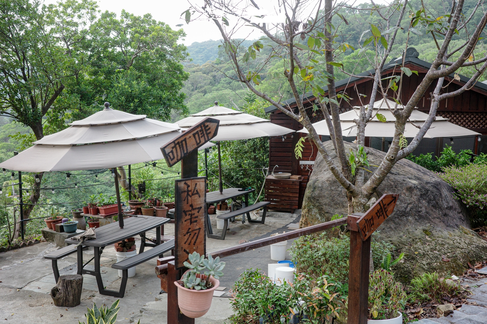 桃園市龜山區 霖咖啡lincafe’