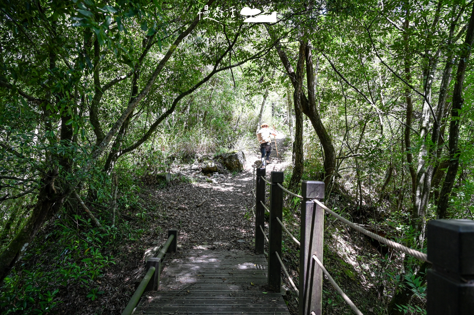 台中和平區 梨山環山獵人步道