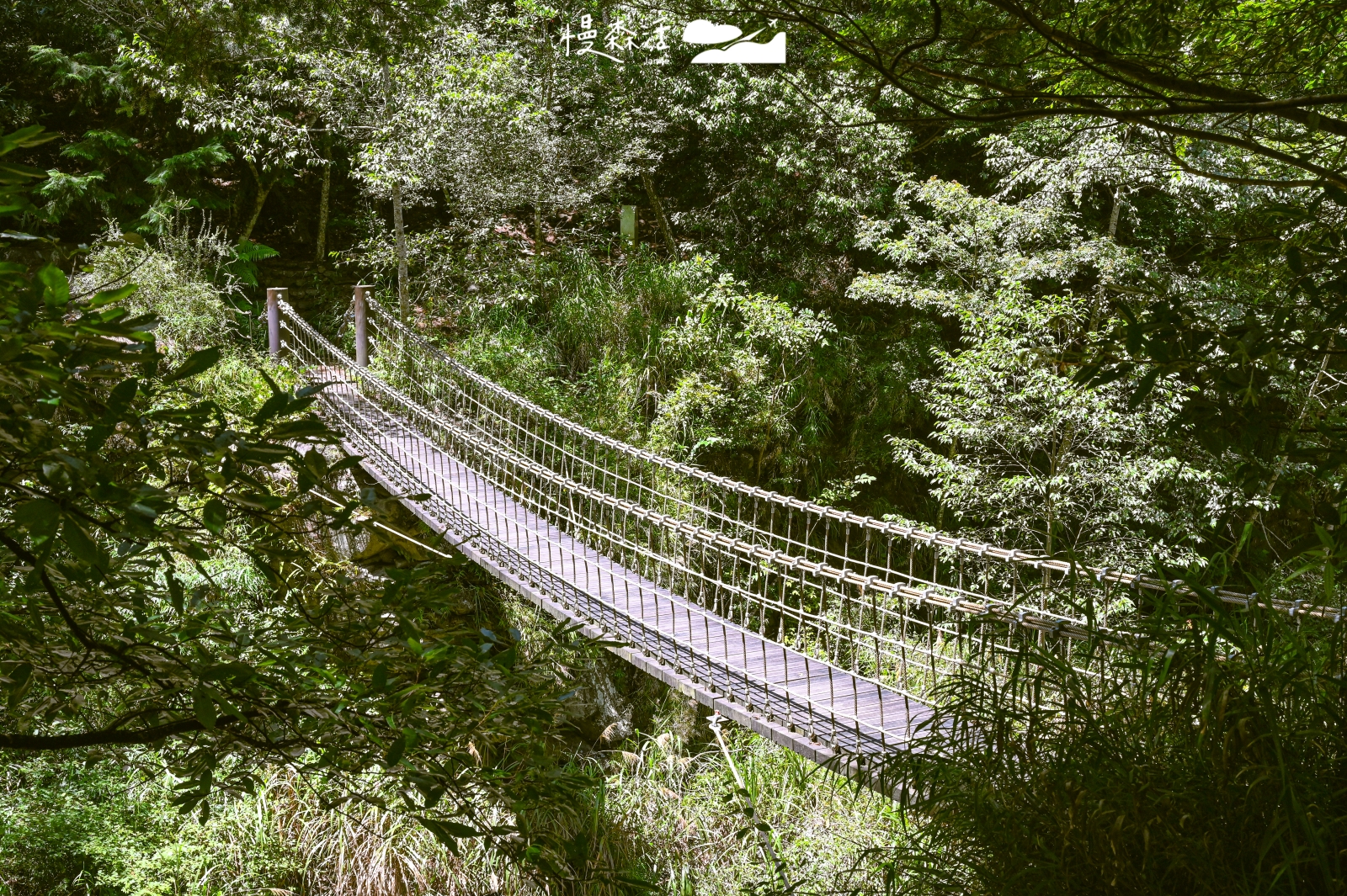 台中和平區 梨山環山獵人步道 yawgosiya 繩索橋