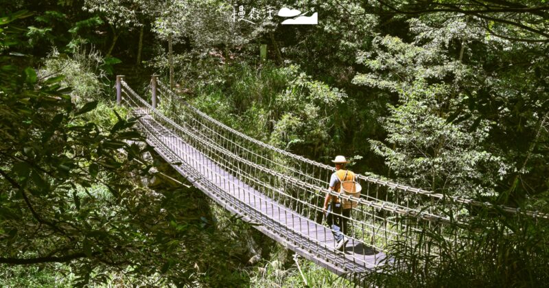 梨山「環山獵人步道」泰雅族狩獵古徑，走讀部落生活文化