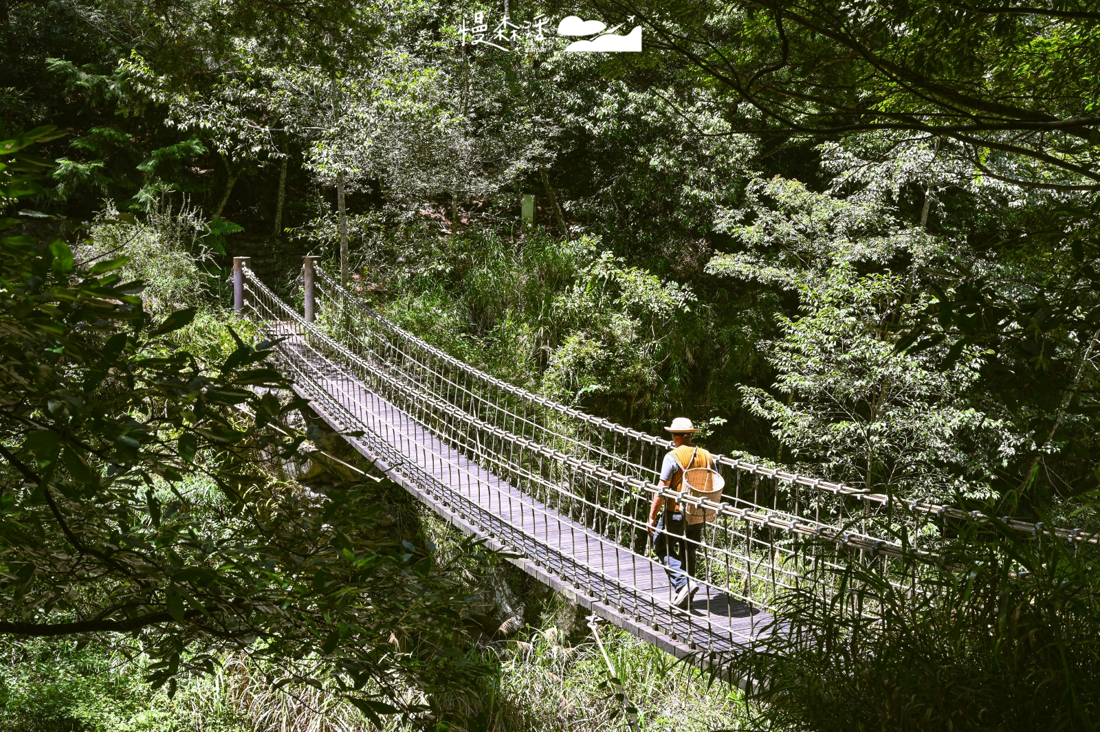台中和平區 梨山環山獵人步道