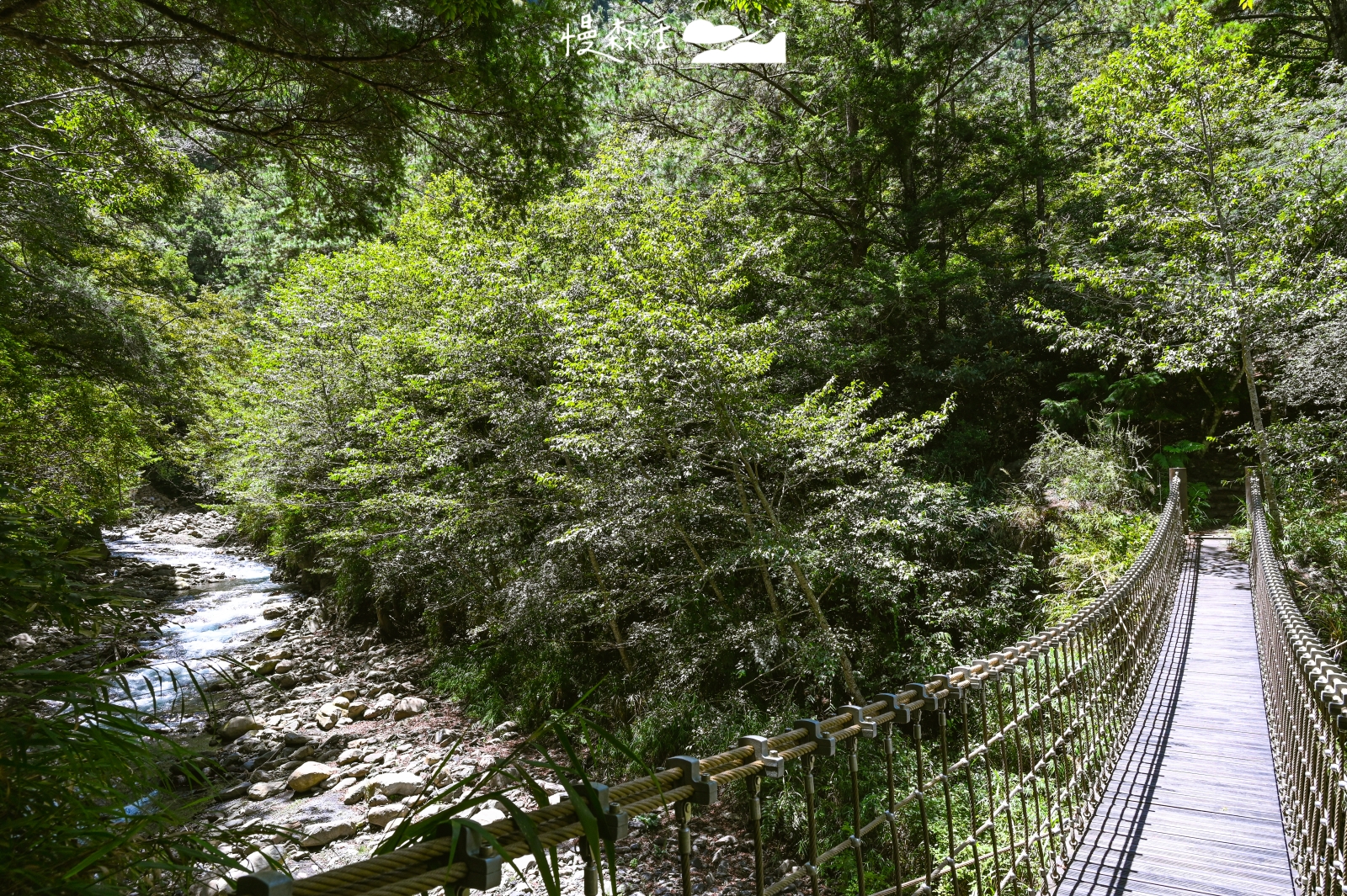 梨山「環山獵人步道」泰雅族狩獵古徑,走讀部落生活文化