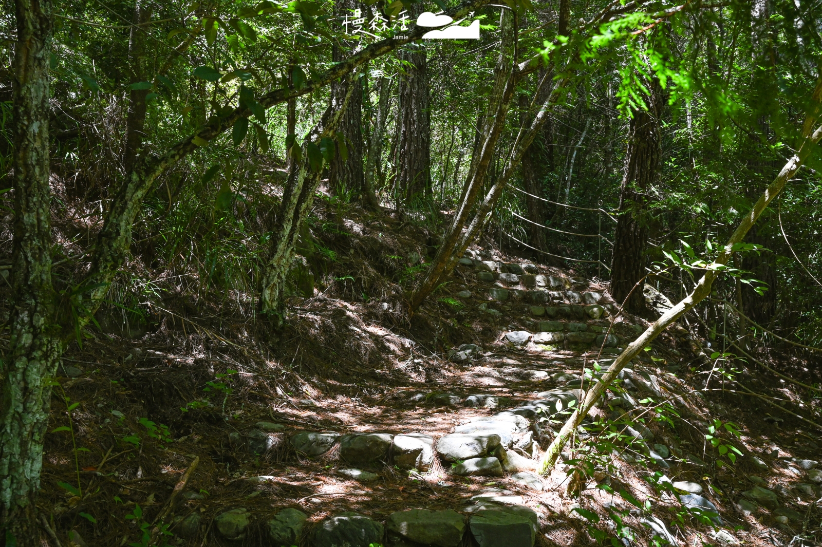 台中和平區 梨山環山獵人步道