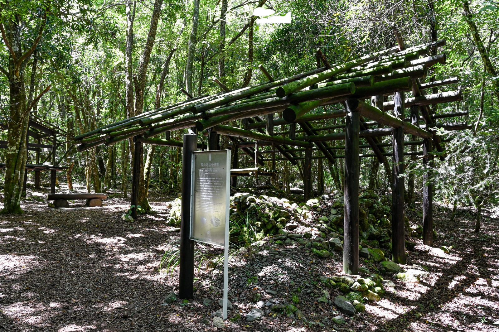 台中和平區 梨山環山獵人步道 泰雅半穴居家屋