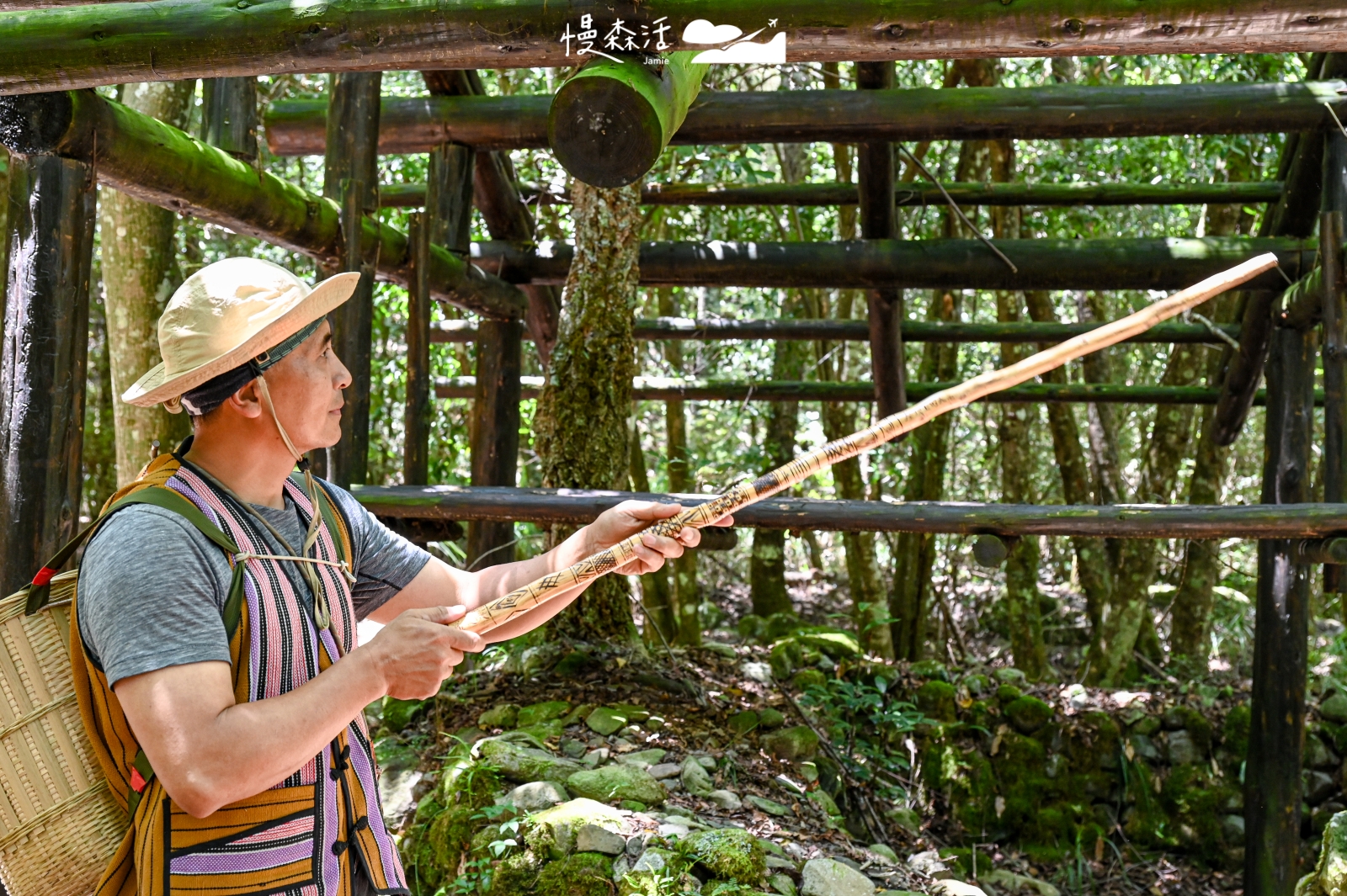 台中和平區 大梨山 環山部落 獵人步道