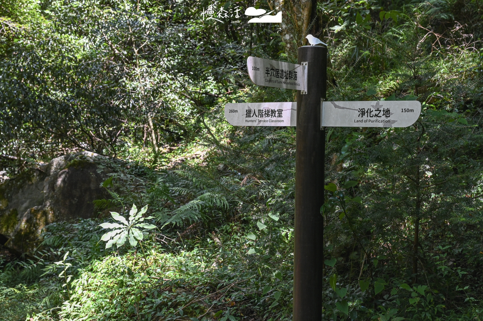 台中和平區 梨山環山獵人步道