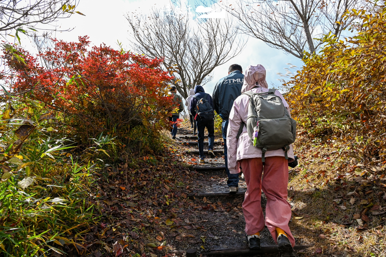 岡山縣真庭市 鬼女台展望休息區