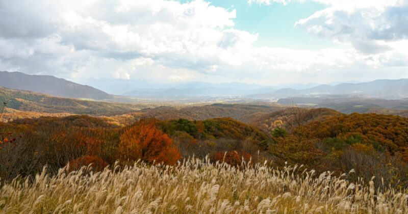岡山和鳥取交界「鬼女台展望休息區」遇見山峰、真庭市秋天風景