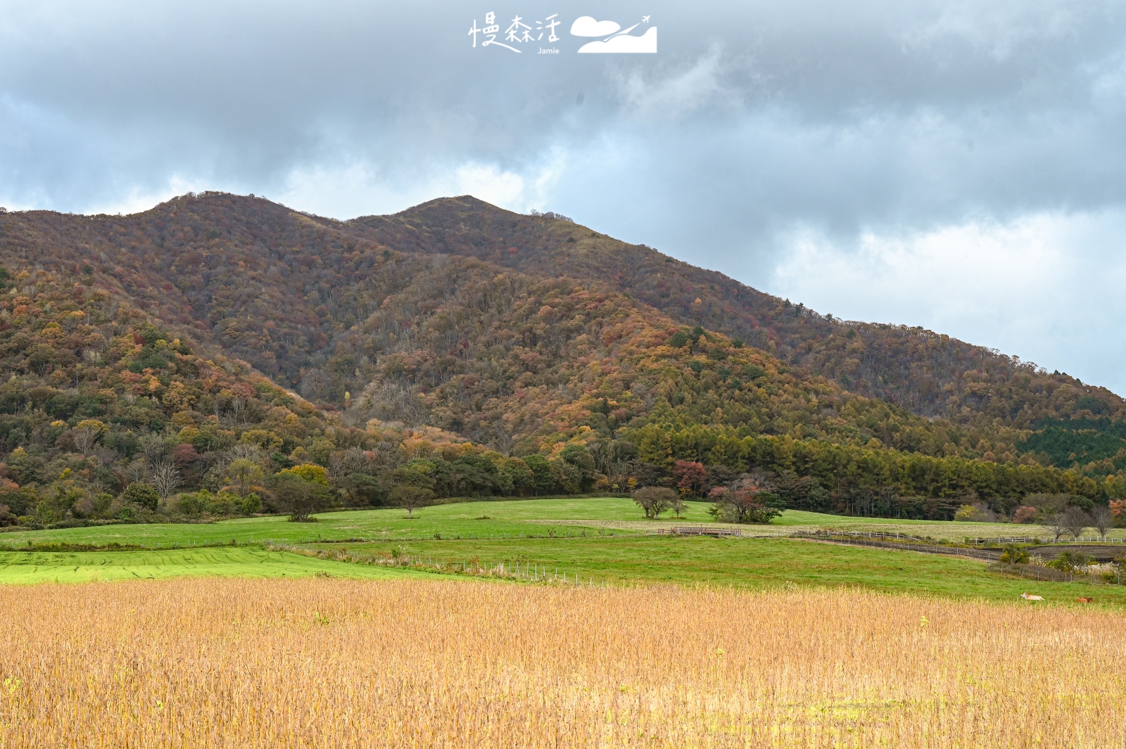 岡山縣真庭市 蒜山高原