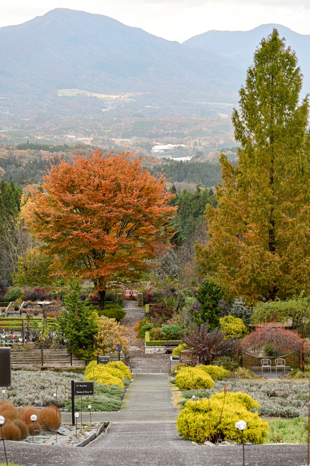 日本岡山縣真庭市 蒜山香草花園