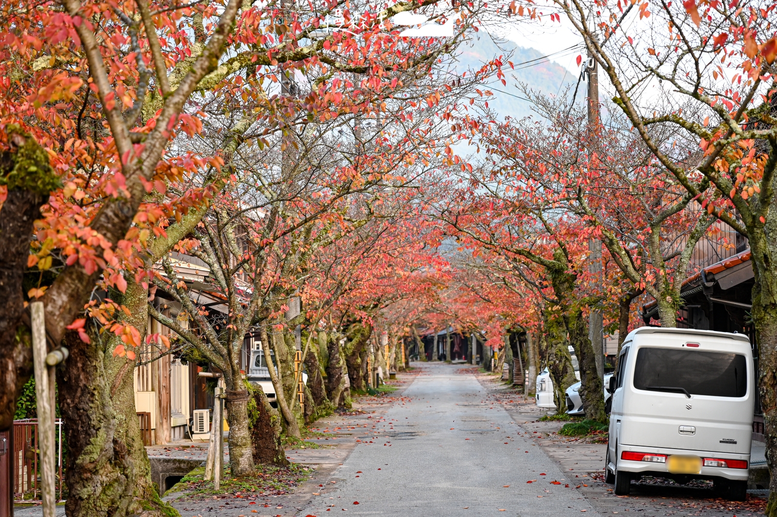 日本岡山縣真庭市 新庄宿