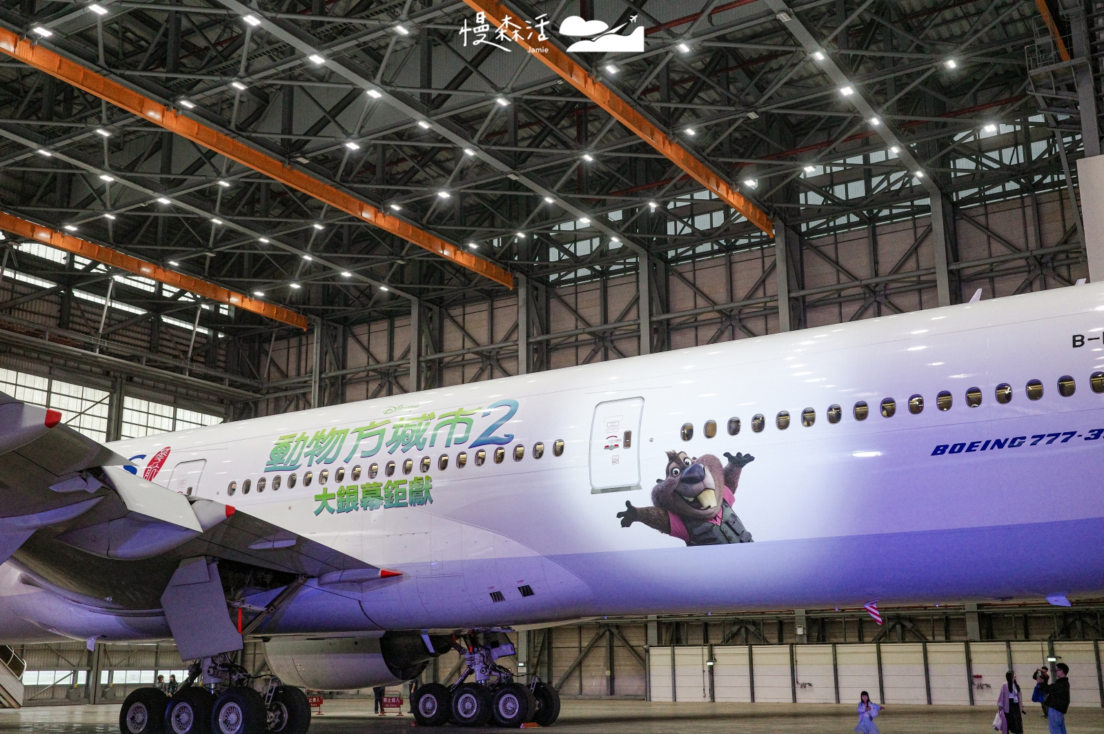 中華航空 動物方城市2 主題彩繪機