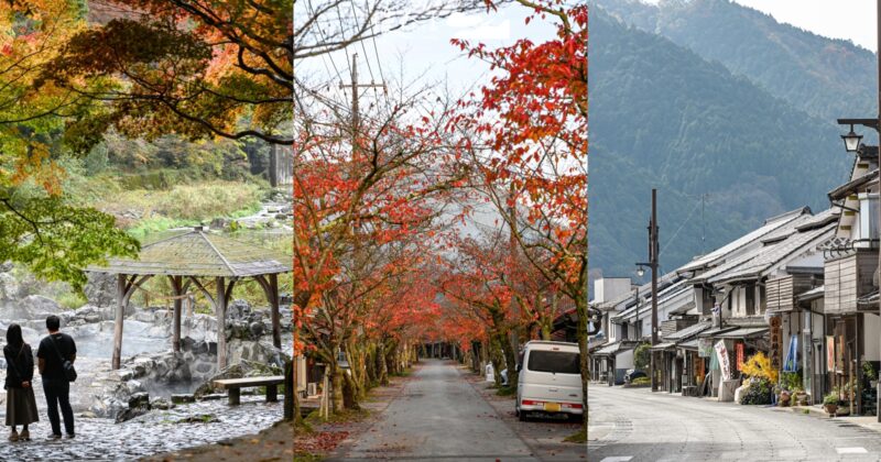 48小時玩岡山！造訪真庭市交通、天氣，7個必收旅遊路線