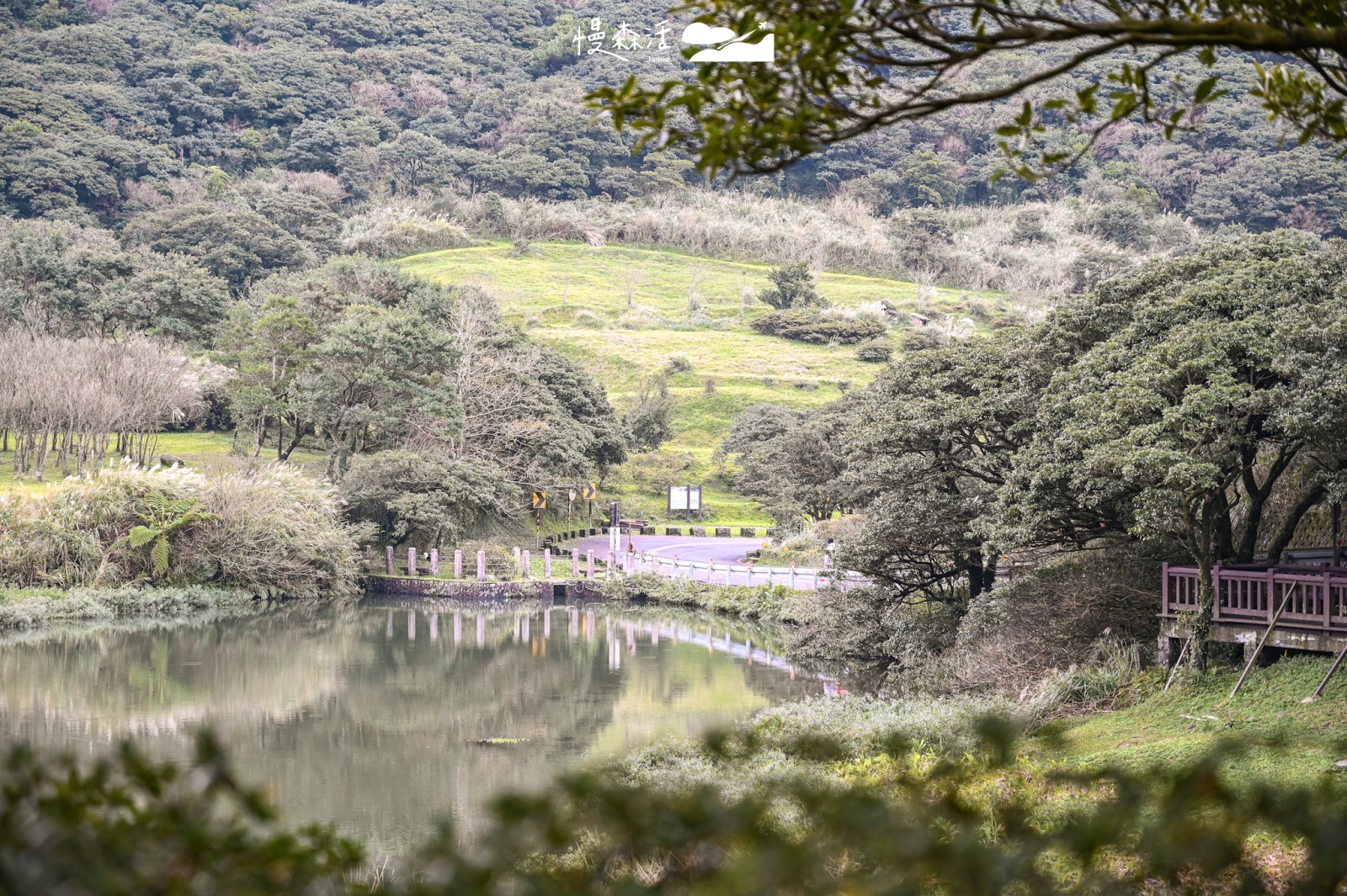2026北部看日出、接曙光推薦：台北大屯自然公園