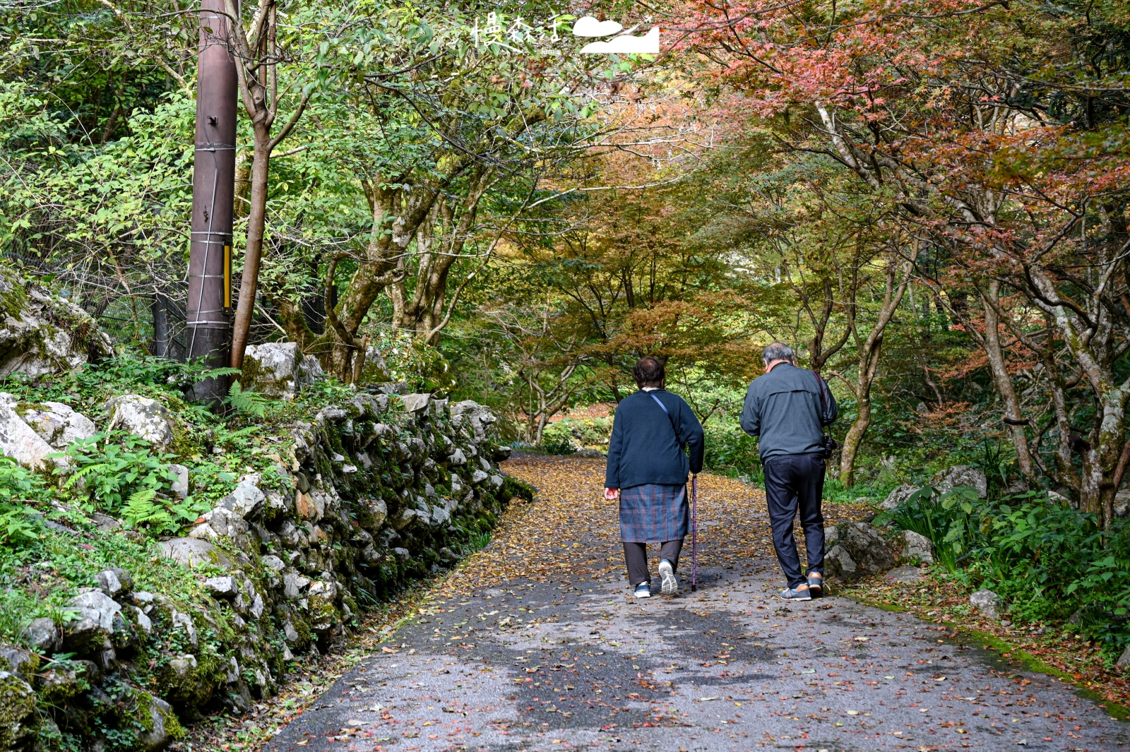 日本岡山縣真庭市 神庭瀑布自然公園