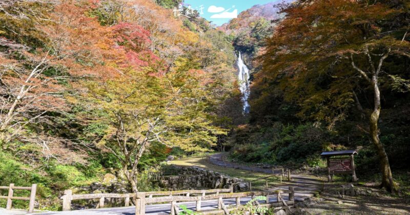 日本名瀑在岡山「神庭瀑布」賞楓紅，還能遇見野生猴子