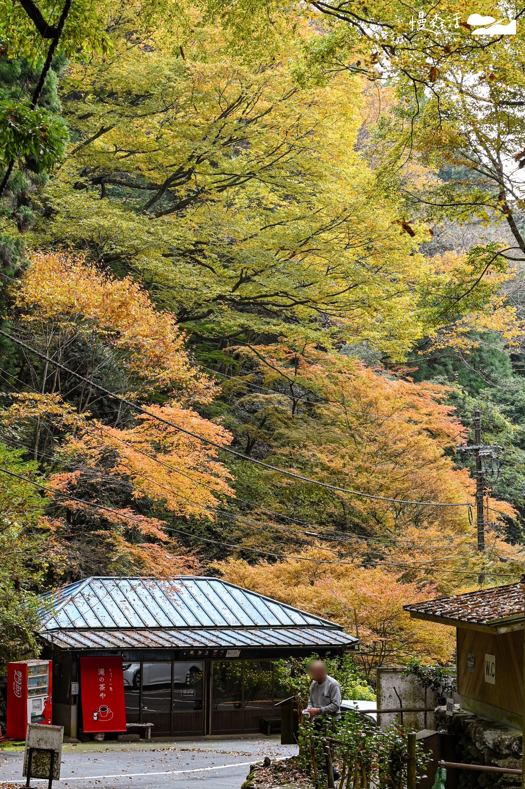日本岡山縣真庭市 神庭瀑布自然公園